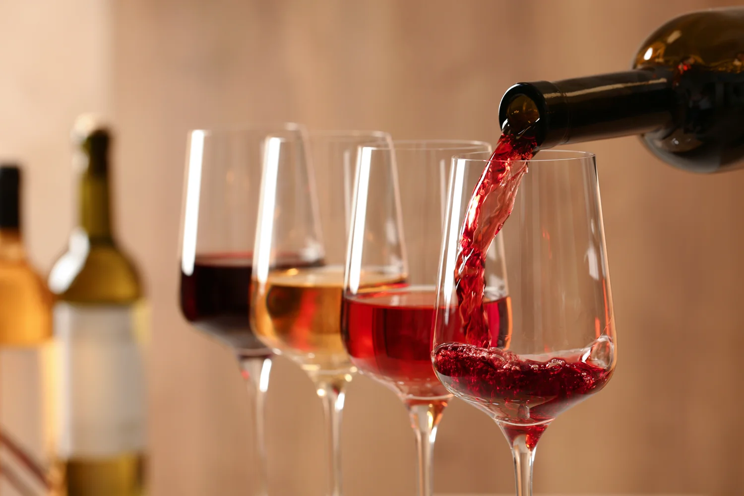 A wine tasting, part of the Olive Oil & Wine experience